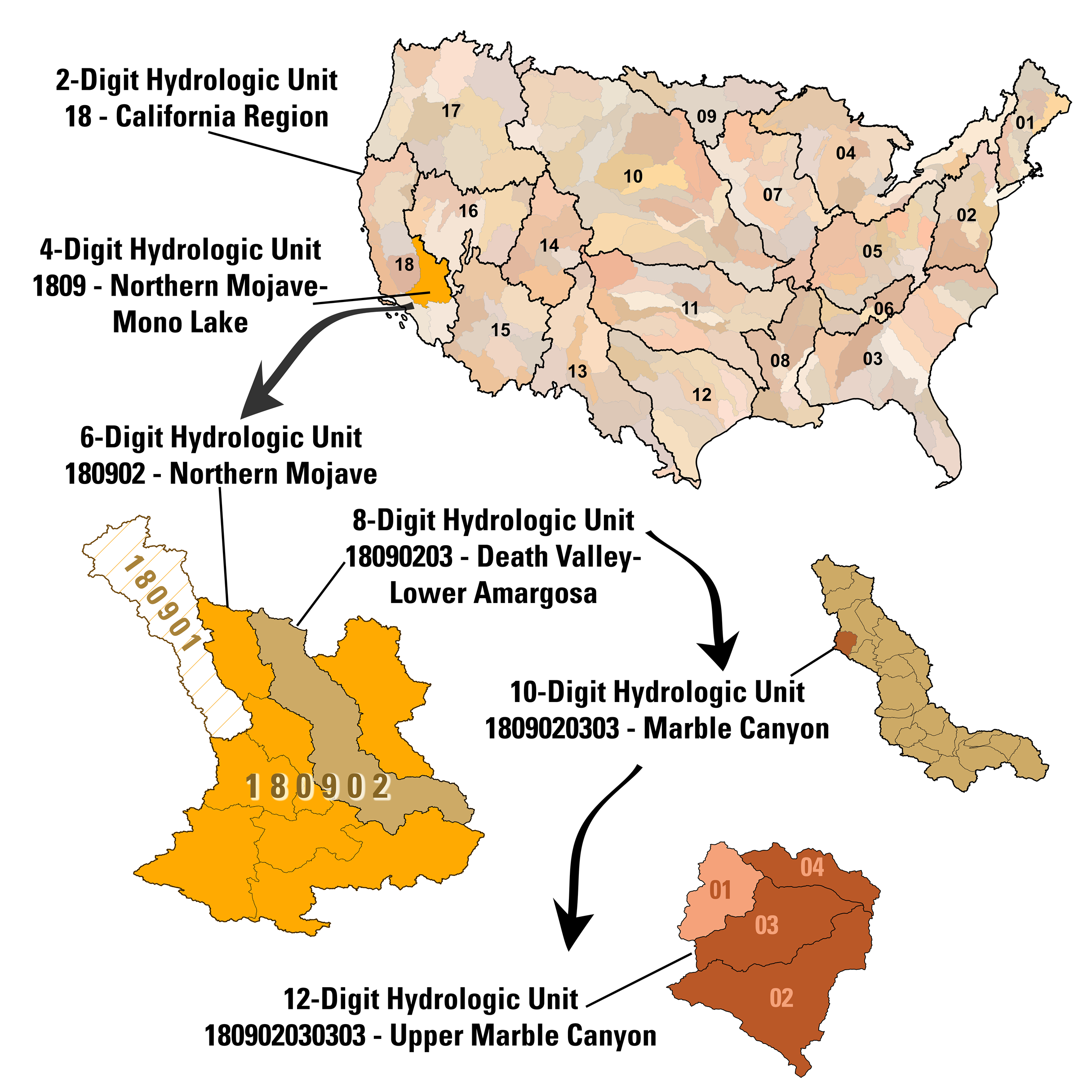Hydrologic Unit Structure illustrated