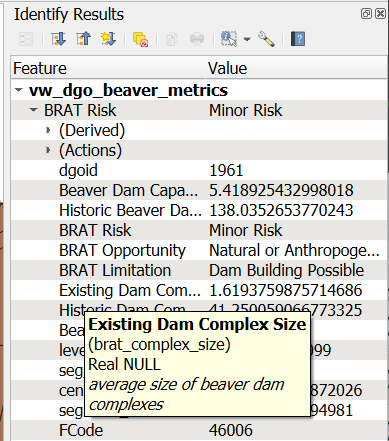 alias and description for spatial view, in QGIS identify pane