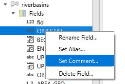 qgis-interface-add-comment-to-field.png