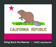 beaver-sticker-final.png